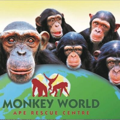 MONKEY WORLD & THE JURASSIC COAST  - Saturday 5th June 2027